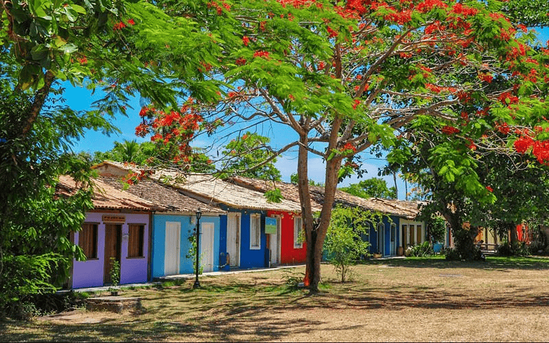 praça central cercada por casinhas coloridas e árvores centenárias